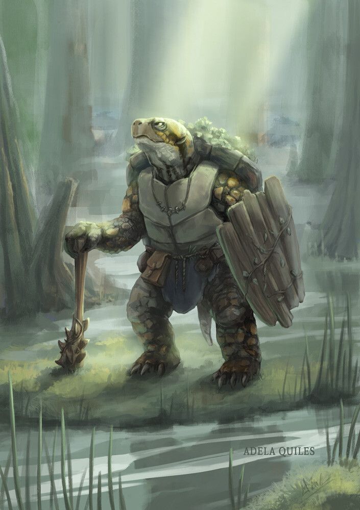 The Tortle 5e | Race Guides for DnD 5th Edition